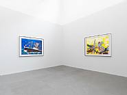Malcolm Morley, Seven Paintings, exhibition view, 2010