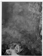 Adam Fuss - From the series 'my ghost' (Photographs) h: 30 x w: 23 in / h: 76.2 x w: 58.4 cm