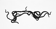 Adam Fuss - Alphabet, from the series 'Home and the World' (Photographs) h: 158.1 x w: 259.1 cm / h: 62.2 x w: 102 in