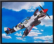Malcolm Morley - P-40 Warhawk Soaring (Paintings) h: 61 x w: 76.2 x d: 3.8 cm / h: 24 x w: 30 x d: 1.5 in