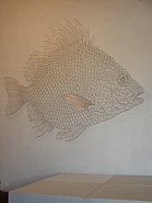 The_Fish71160
