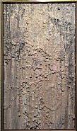 Larry Poons - 82H-14 (Paintings) h: 87.6 x w: 49.3 cm / h: 34.5 x w: 19.4 in