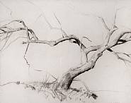 Daniel Garber - Bare Tree (Paintings)