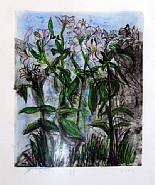 Jim Dine - History of Gardening VI (Prints and Multiples) h: 28 x w: 22.5 in / h: 71.1 x w: 57.2 cm