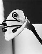 Calla Lily with Fiddleheads