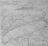 Tony Cragg - Knode Strand (Works on Paper (Drawings, Watercolors etc.)) h: 42 x w: 44 cm / h: 16.5 x w: 17.3 in