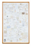 Enveloped Specimens #1