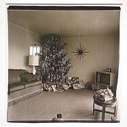 Diane Arbus - Xmas Tree in a Living Room, Levittown, L.I. (Photographs) h: 14.9 x w: 14.9 in / h: 37.8 x w: 37.8 cm