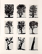 Universal Archive (Nine Trees)