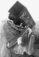 Jane Hammond - BEE LINE TRUCKING (Photographs) h: 14 x w: 1 in / h: 35.6 x w: 2.5 cm