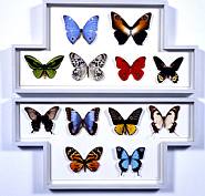 Jane Hammond - Family Secret/Secret Family (Prints and Multiples) h: 28 x w: 25.5 x d: 2 in / h: 71.1 x w: 64.8 x d: 5.1 cm