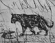 William Kentridge - Pacing Panther (Prints and Multiples) h: 15.5 x w: 20.8 in / h: 39.4 x w: 52.8 cm