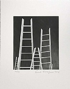 The Ladders
