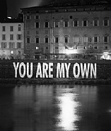 Jenny Holzer - You are my own (Photographs) h: 55 x w: 43.8 in / h: 139.7 x w: 111.3 cm