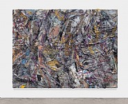Untitled (SK-IR)