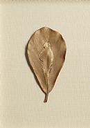 Ana Mendieta - Untitled (Works on Paper (Drawings, Watercolors etc.))