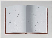 Ed Ruscha - Open Book With Worm Holes (Prints and Multiples)