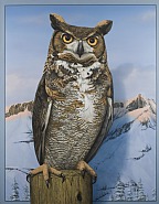 Great Horned Owl