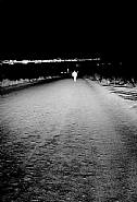 As Far As I Could Get (10 seconds): R02F09