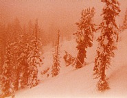 Untitled (from emmett) 1977 / 2010