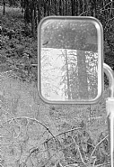 Untitled (from emmett) 1984 / 2010