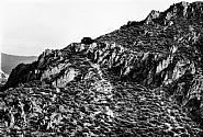Lewis Baltz - Nevada, 1977 (a sequential work with 15 elements) Element No. 5
