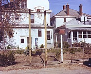 Bird Flying - 1983-84/2008