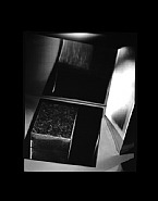 Black/White Study 1
