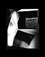 Black/White Study 2