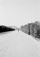 As Far as I Could Get (10 Seconds): R01F09