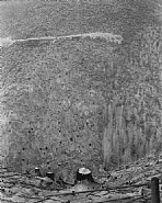 Mount St. Helens: Charred stumps after timber salvage and burning slash, 14 miles Northeast of Mount St. Helens, Washington.