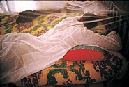 Nan Goldin - Jabalowe under his Mosquito Net, Barat, Luxor, Egypt (Photographs) h: 30 x w: 40 in / h: 76.2 x w: 101.6 cm