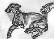 Pluto Aged 12