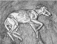 Lucian Freud - Eli (Prints and Multiples)
