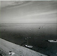 Cape Cod