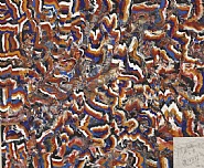 Robust Abstraction with Abandon School