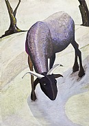 LARGE PECORA STUDY #3