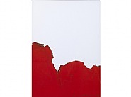Cage Rouge de Fumée