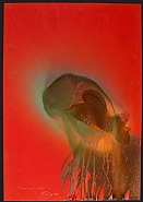 Head and Halo