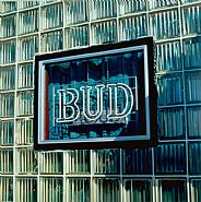 Robert Cottingham - Bud (Paintings) h: 78 x w: 78 in / h: 198.1 x w: 198.1 cm