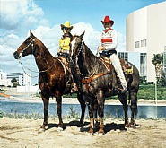 Richard McLean - Diamond Tinker and Jet Chex (Paintings) h: 56 x w: 63 in / h: 142.2 x w: 160 cm