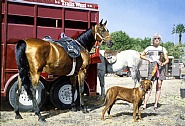 Richard McLean - Western Tableau with Rhodesian Ridgeback (Trials West), (Paintings) h: 48 x w: 70 in / h: 121.9 x w: 177.8 cm