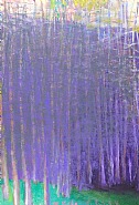 PINK SKY, PURPLE TREES