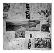 Robert Rauschenberg - Features, Foster 135 (Prints and Multiples) h: 40 x w: 40 in / h: 101.6 x w: 101.6 cm