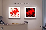 Donald Sultan - Donald Sultan Lantern Flowers Installation Photo at Meyerovich Gallery (Prints and Multiples)