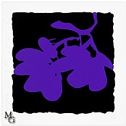 Donald Sultan - Lantern Flowers (Purple, May 10, 2012) (Prints and Multiples) h: 24 x w: 24 in / h: 61 x w: 61 cm