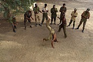 Capoeira, 1974