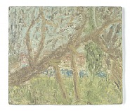 Cherry Tree, Winter