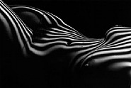 Zebra Nude, Arles