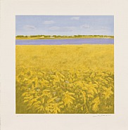 Jane Freilicher - Goldenrod (Prints and Multiples) h: 26.5 x w: 26 in / h: 67.3 x w: 66 cm
